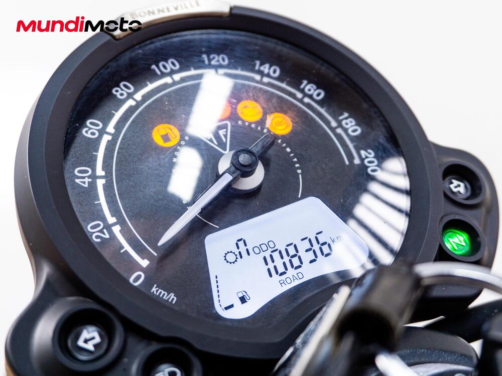 Triumph Street Scrambler 900 (2017 - 18) (10)