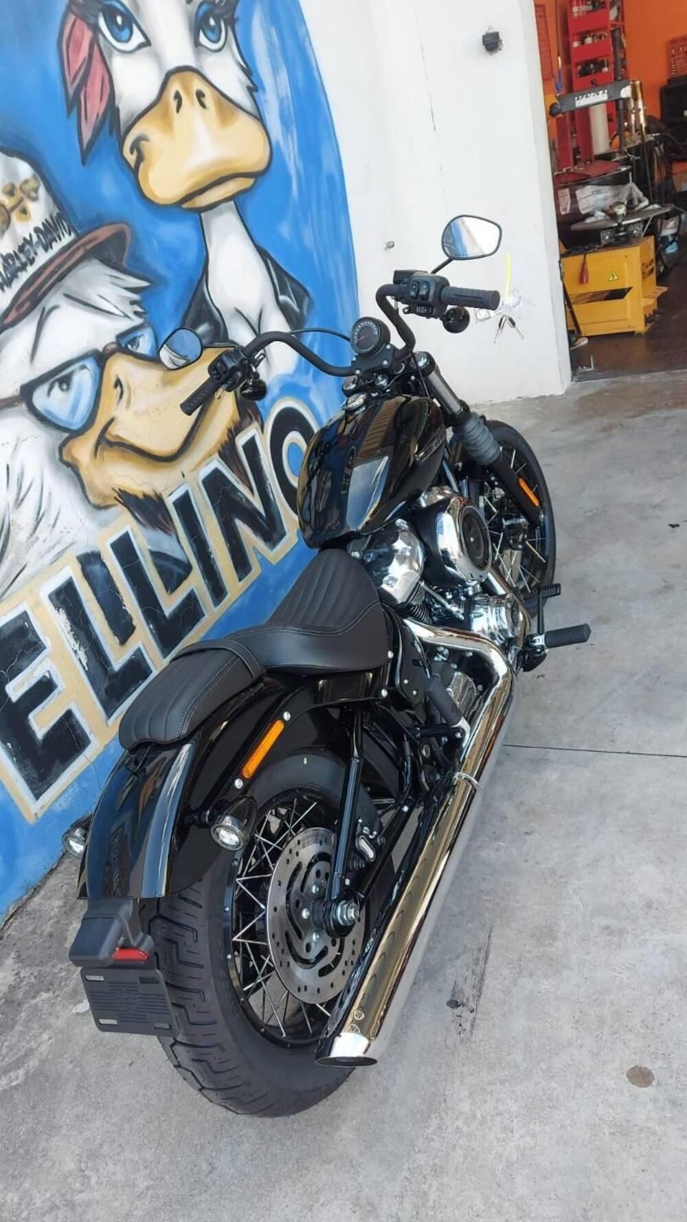 Harley-Davidson Street Bob 117 (2025) (2)