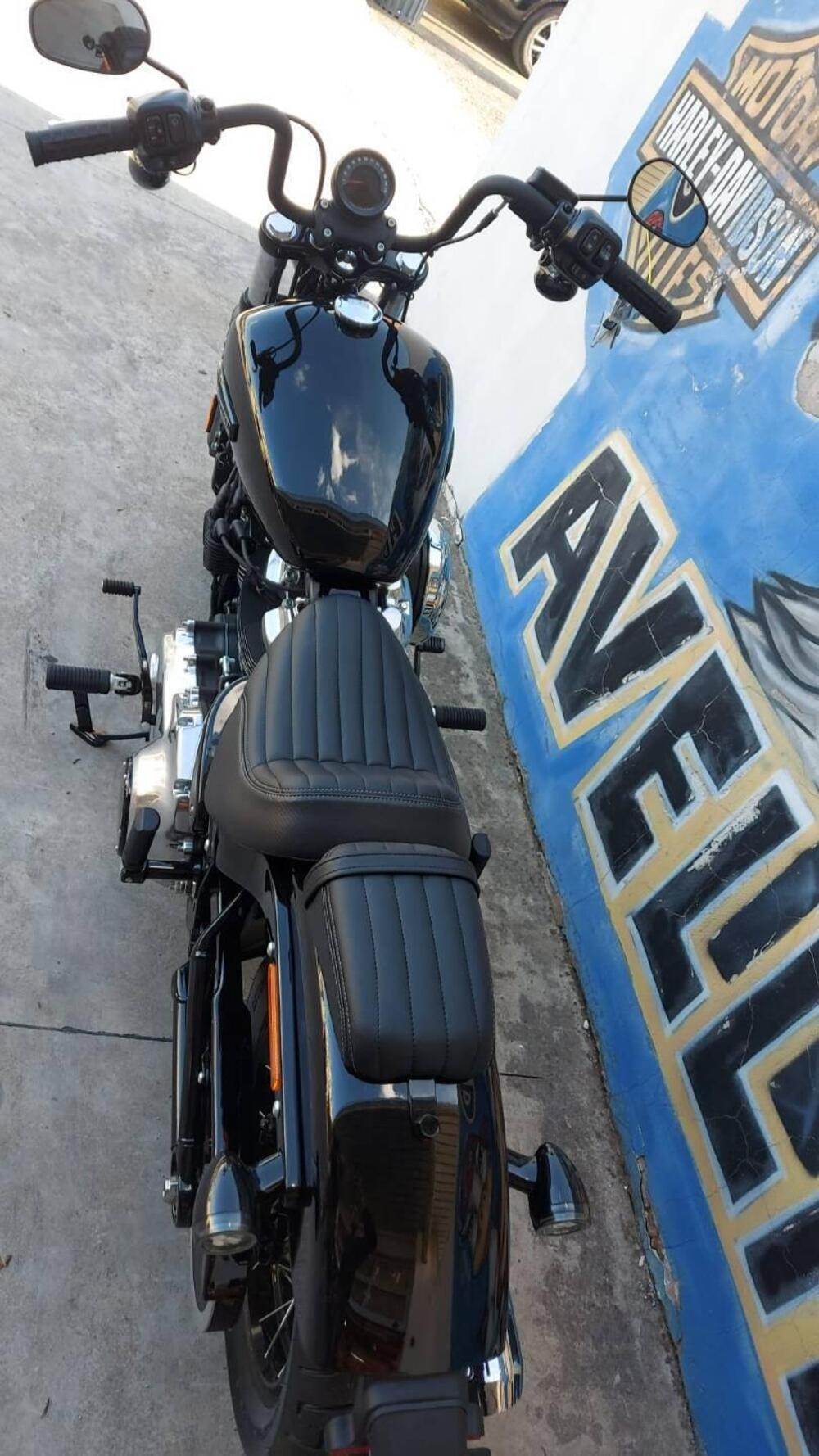 Harley-Davidson Street Bob 117 (2025) (3)