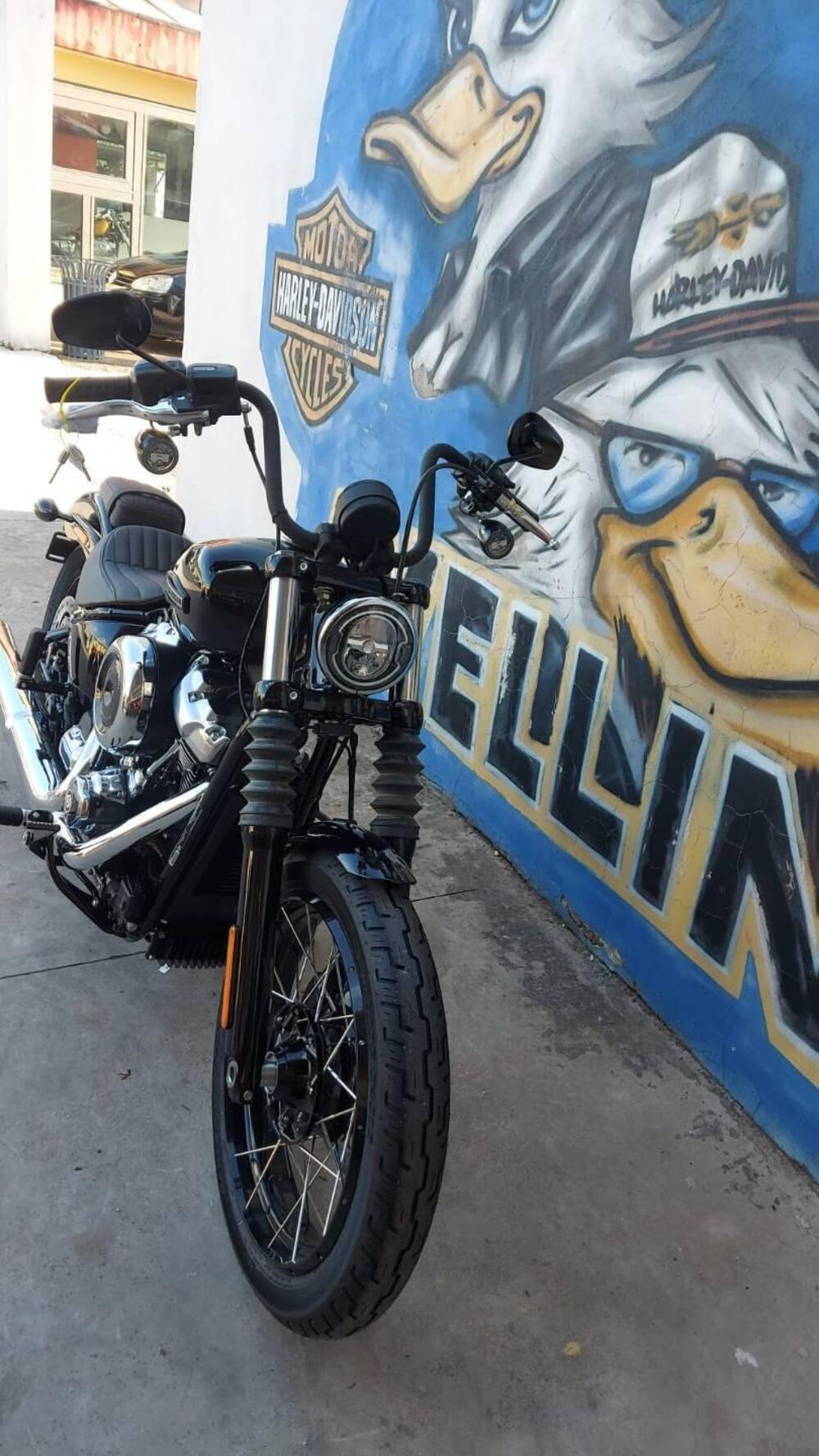 Harley-Davidson Street Bob 117 (2025) (5)