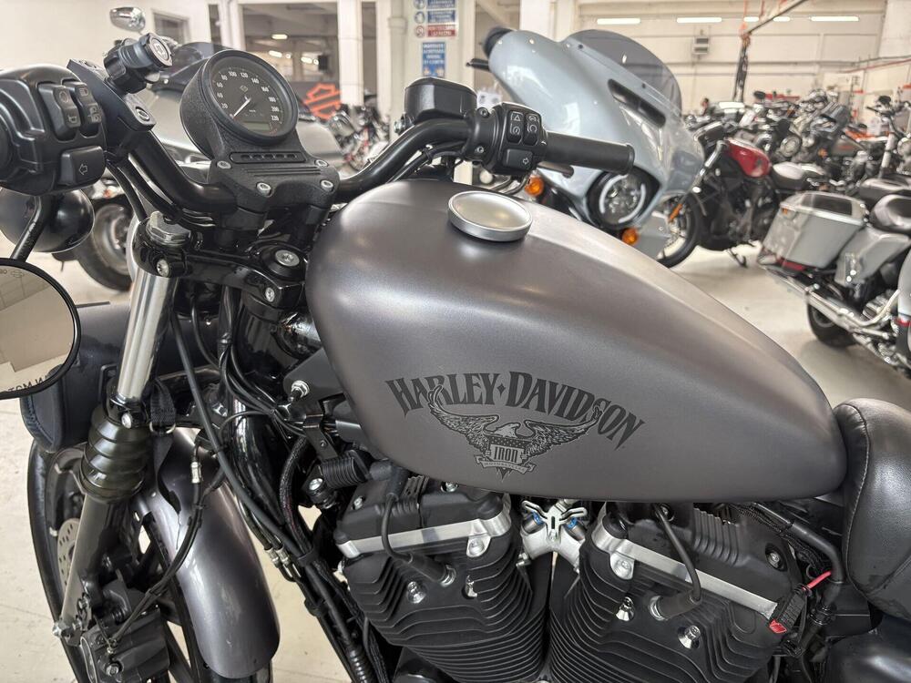 Harley-Davidson 883 Iron (2014 - 16) - XL 883N (7)
