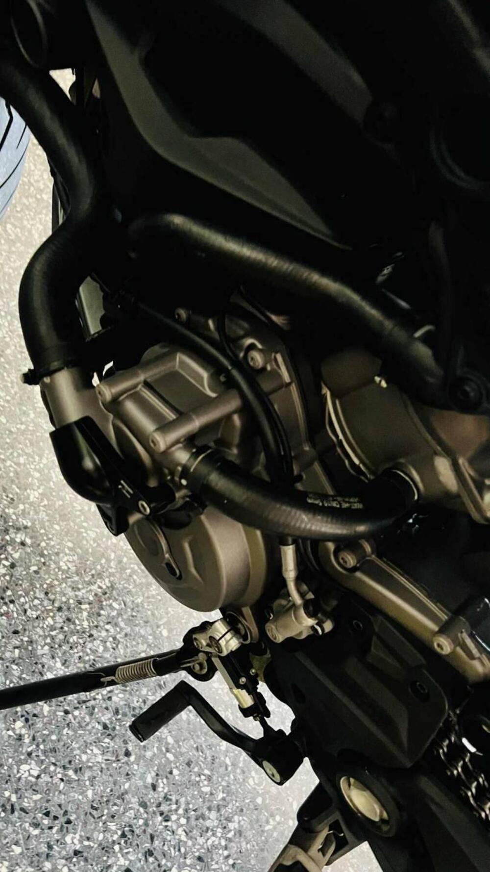 Ducati Monster 937 + (2021 - 25) (6)