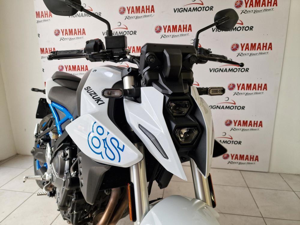 Suzuki GSX-8S (2023 - 24) (2)