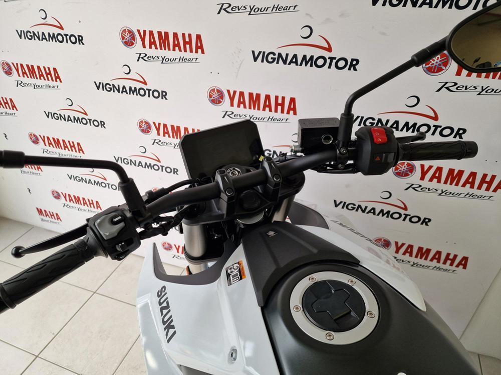 Suzuki GSX-8S (2023 - 24) (6)