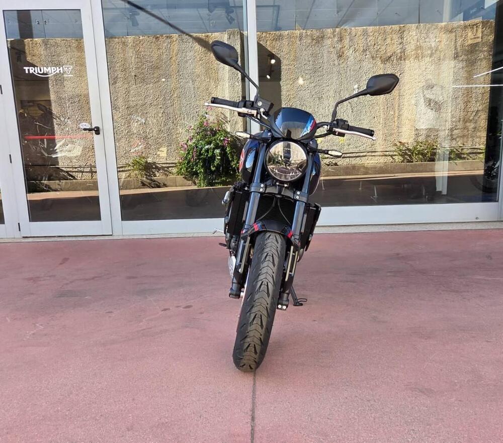 Triumph Trident 660 Triple Tribute Edition (2025 - 26) (5)