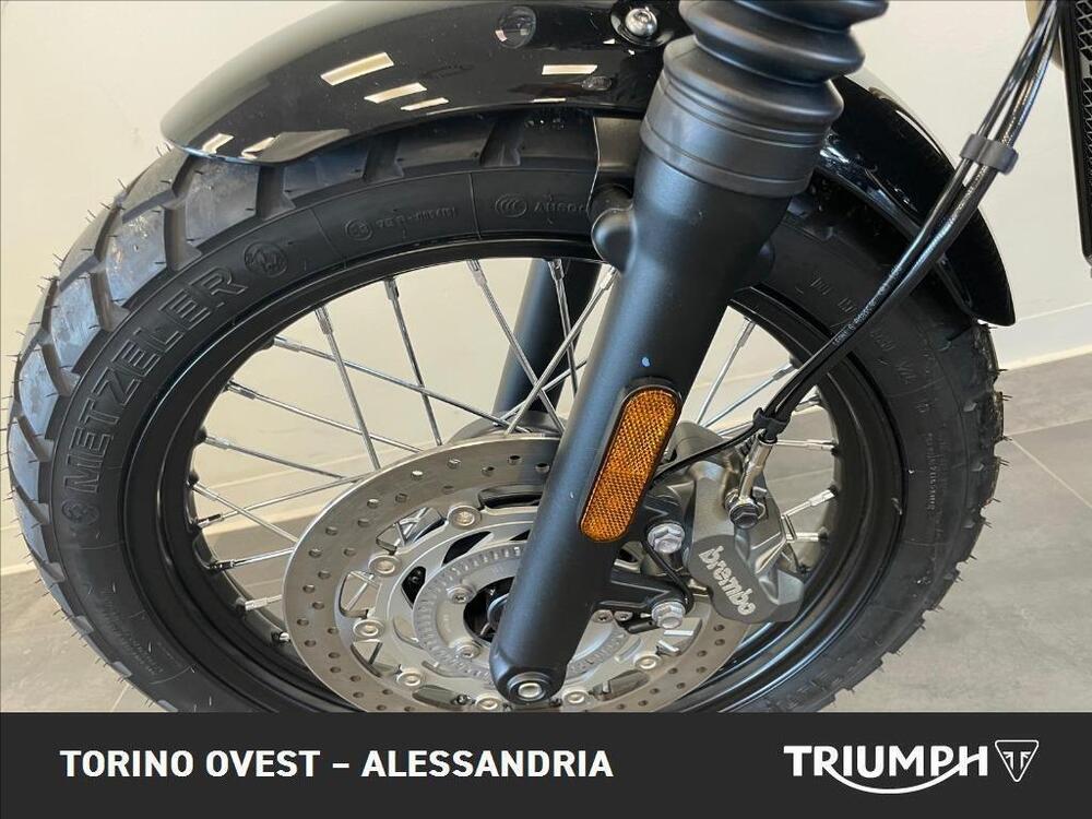 Triumph Scrambler 900 Icon Edition (2025 - 26) (10)