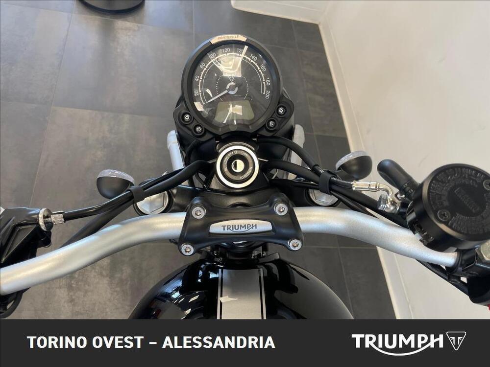 Triumph Scrambler 900 Icon Edition (2025 - 26) (6)