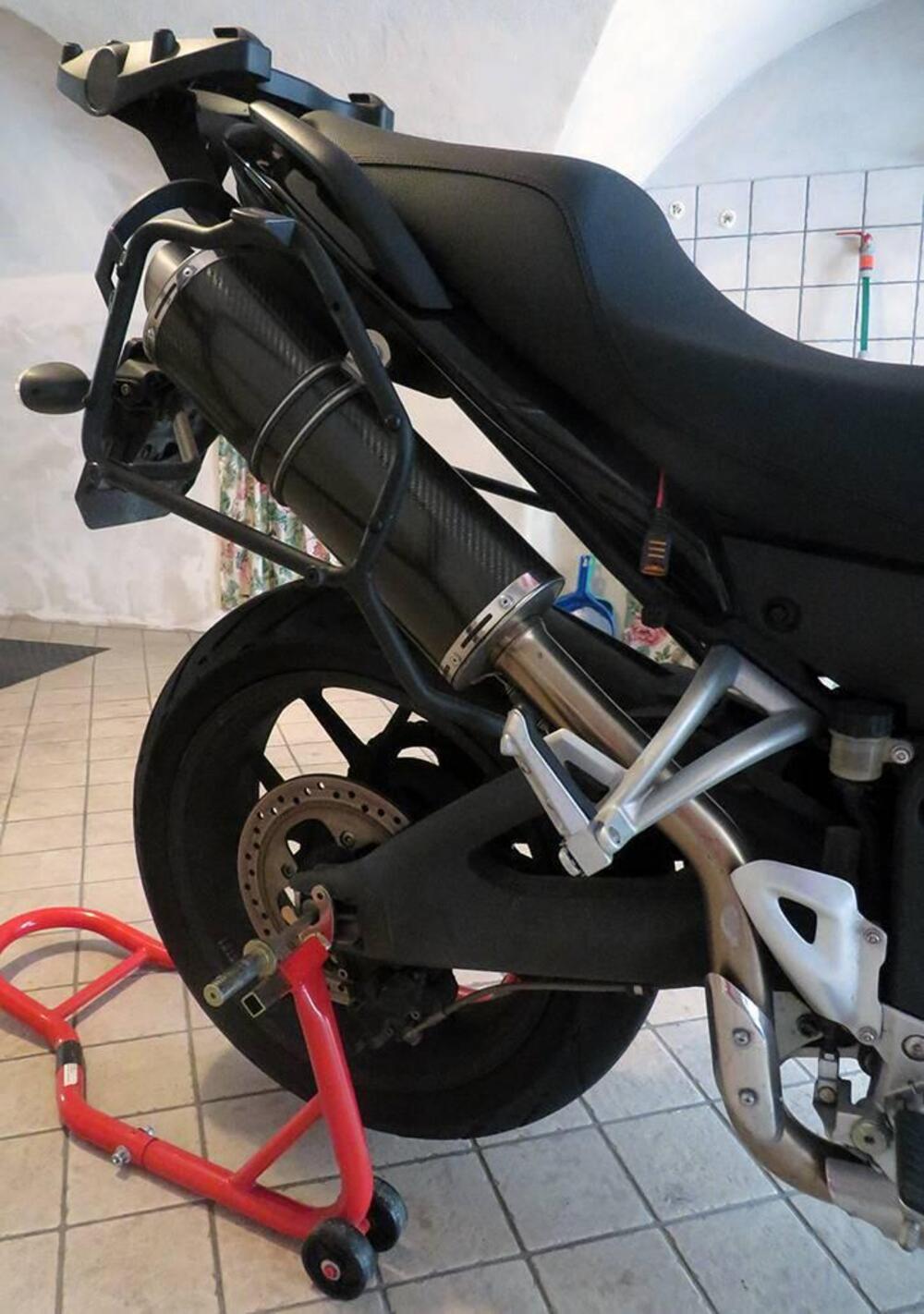 Triumph Tiger 1050 (2006 - 12) (5)