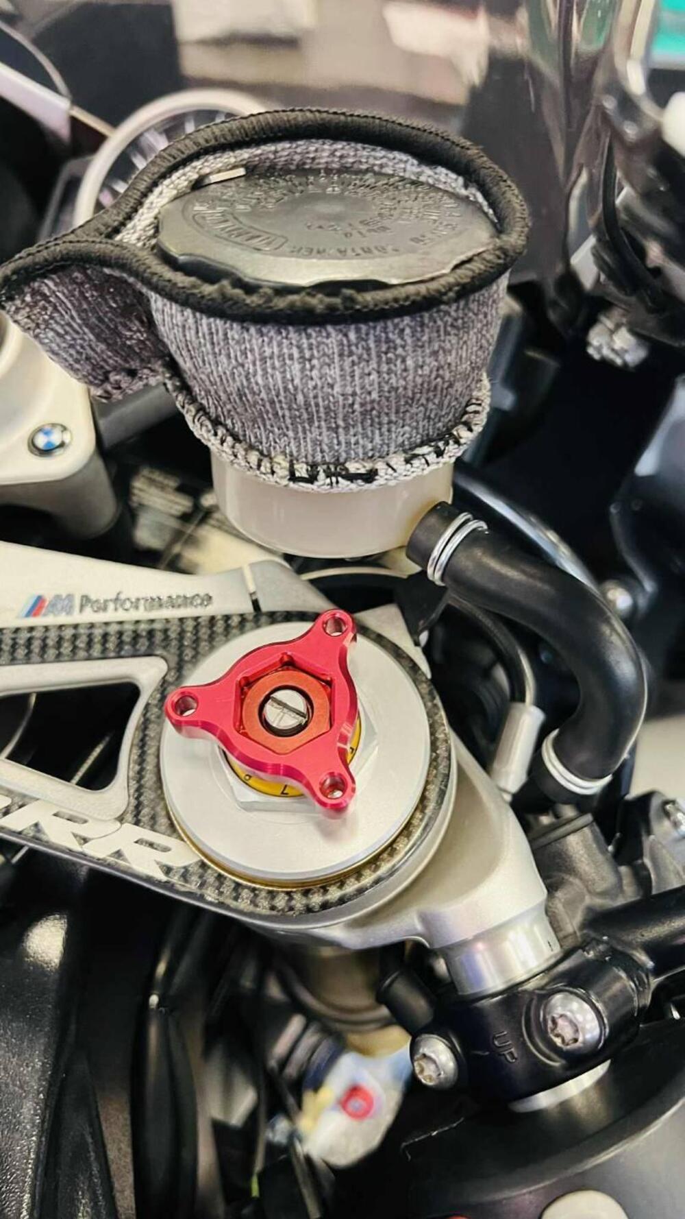 Bmw S 1000 RR (2009 - 12) (11)