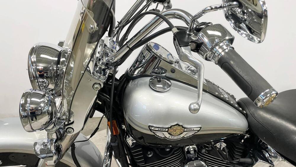 Harley-Davidson 1450 Heritage Classic (1999 - 02) - FLSTC (9)