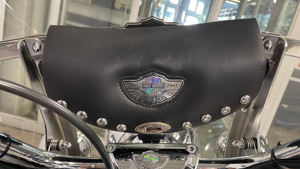 Harley-Davidson 1450 Heritage Classic (1999 - 02) - FLSTC (16)