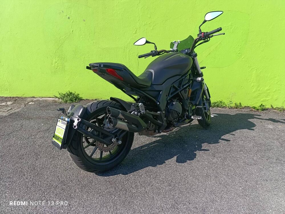 Benelli 502 C (2019 - 20) (4)