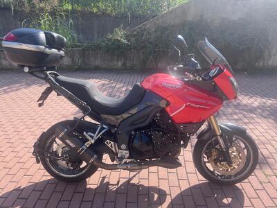 Triumph Tiger 1050 SE ABS (2006 - 13) usata