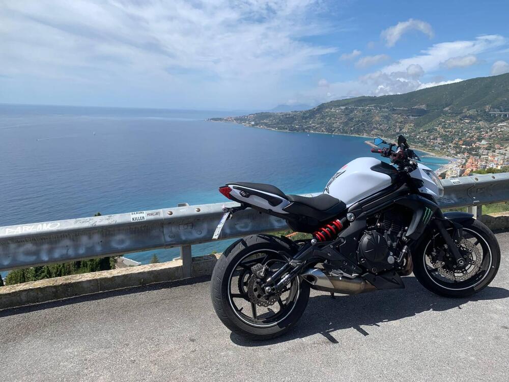 Kawasaki ER-6N ABS (2012 - 16) (8)