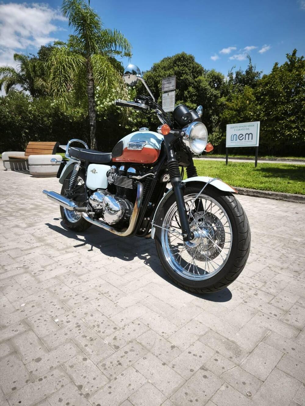 Triumph Bonneville T100 50th Anniversary (2009) (6)