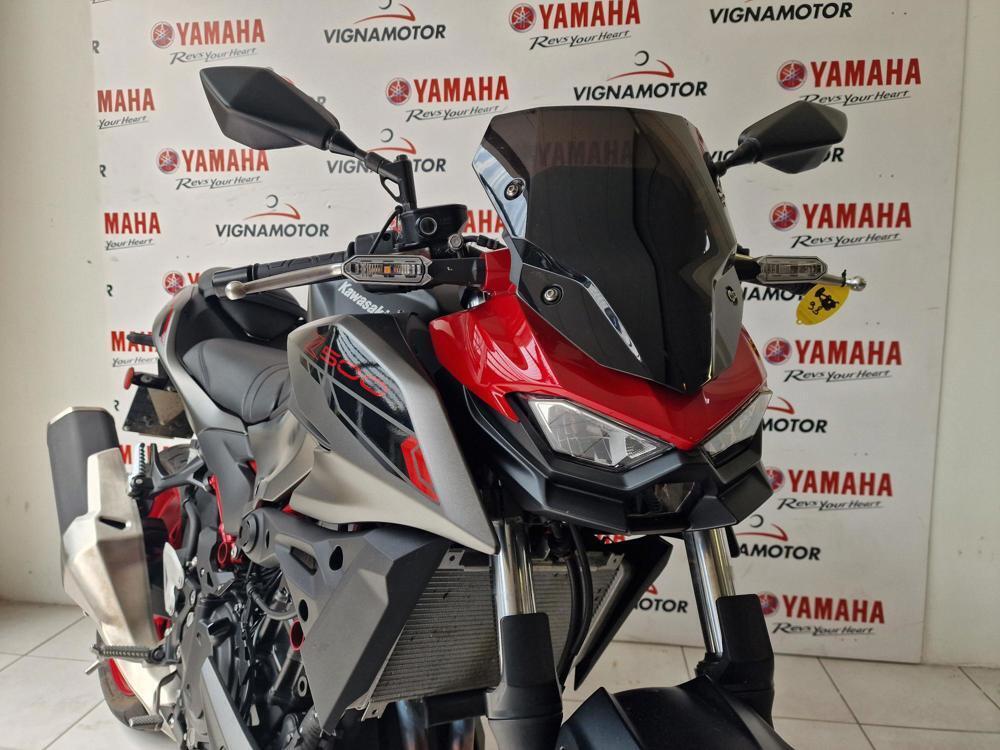 Kawasaki Z 500 SE (2024 - 26) (2)