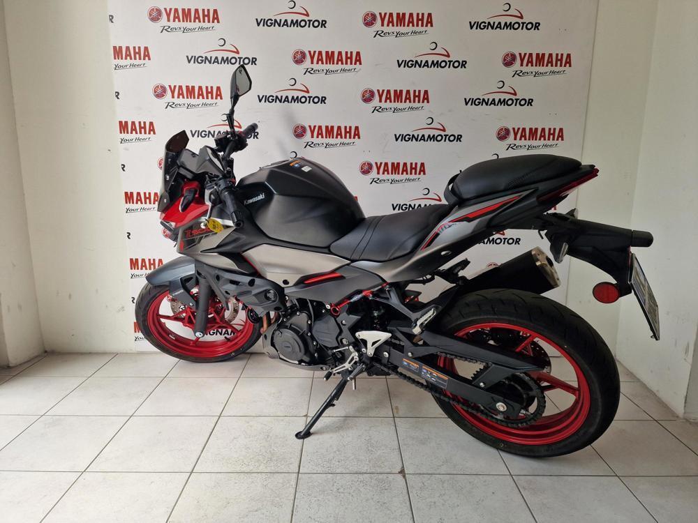 Kawasaki Z 500 SE (2024 - 26) (6)