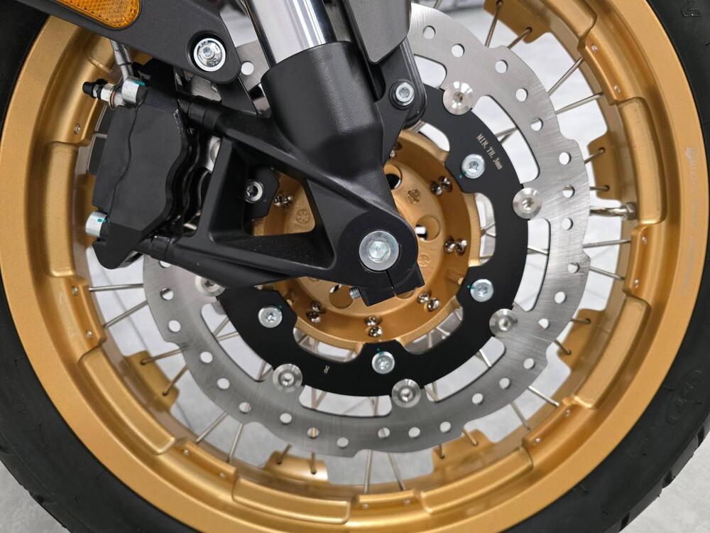 Cyclone RX600 (2025 - 26) (8)