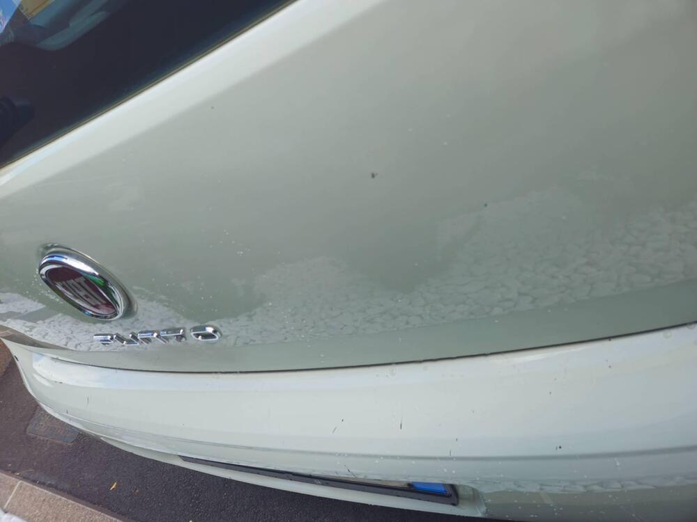 Fiat Punto usata a Verona (6)