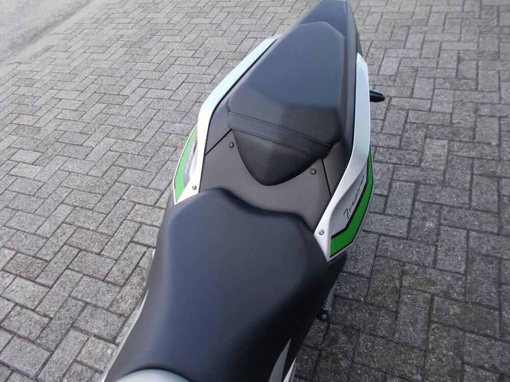 Kawasaki Z7 Hybrid (2024 - 25) (4)