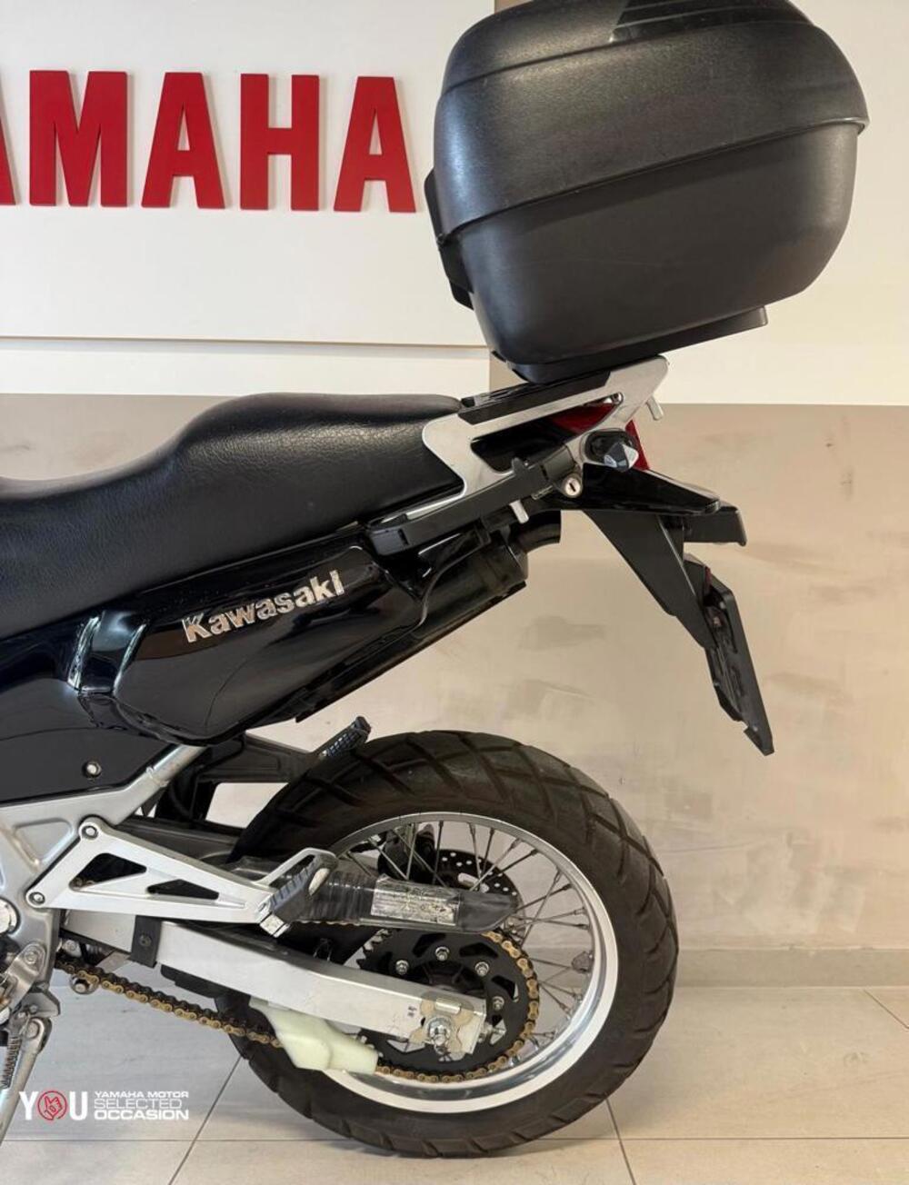 Kawasaki KLE 500 (2001 - 04) (5)