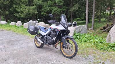 Honda Transalp XL750 (2023 - 24) usata