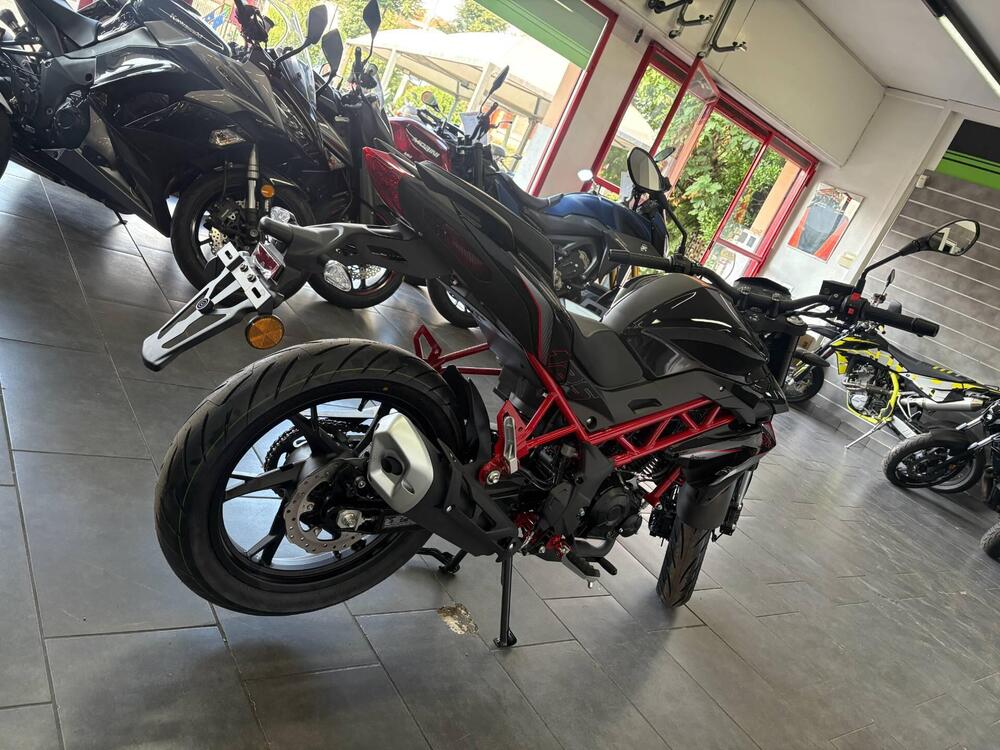 Benelli BN 125 (2021 - 25) (12)