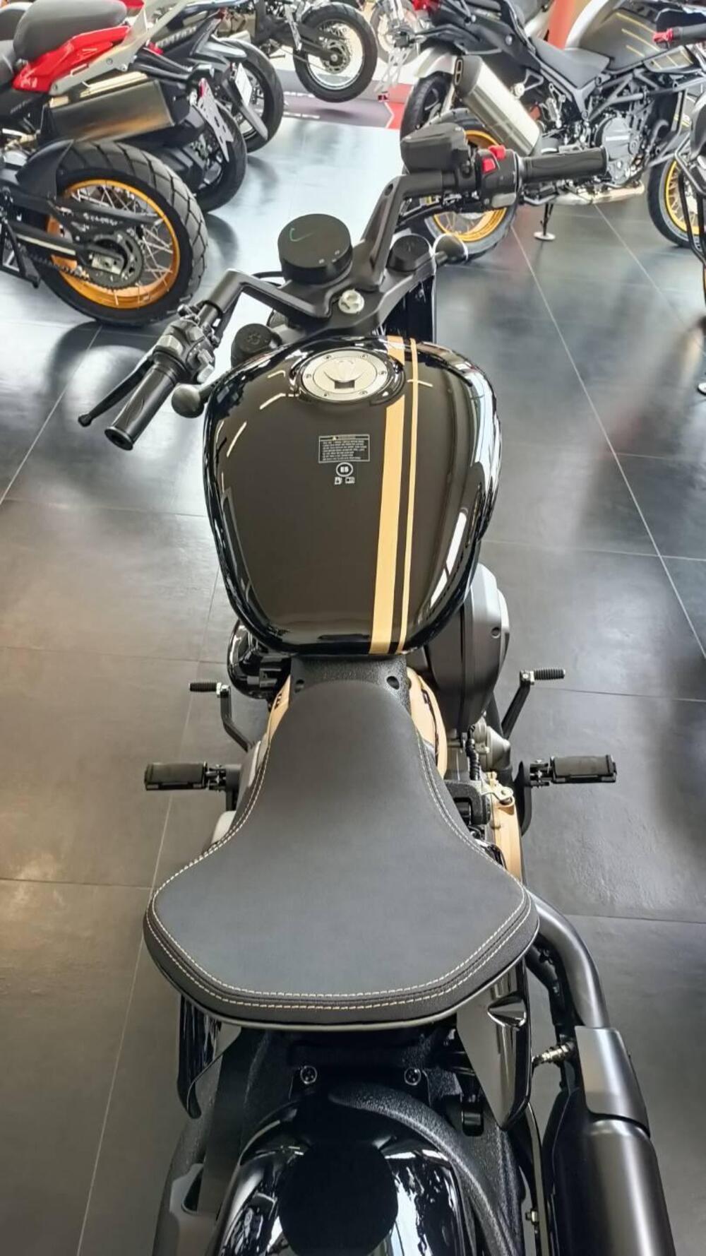 Benda Motorcycles Napoleon Bob 500 (2024 - 25) (6)