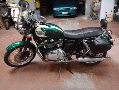 Triumph Bonneville T100 (2008 - 16) usata
