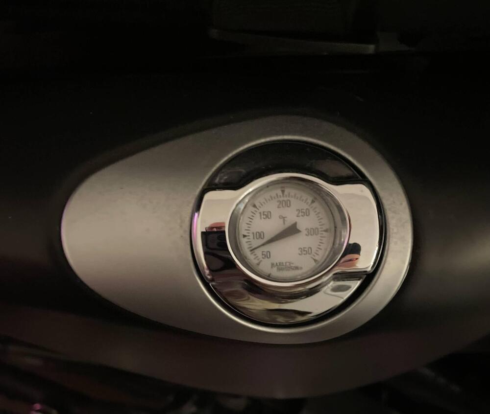 Harley-Davidson 883 Iron (2012 - 14) - XL 883N (7)