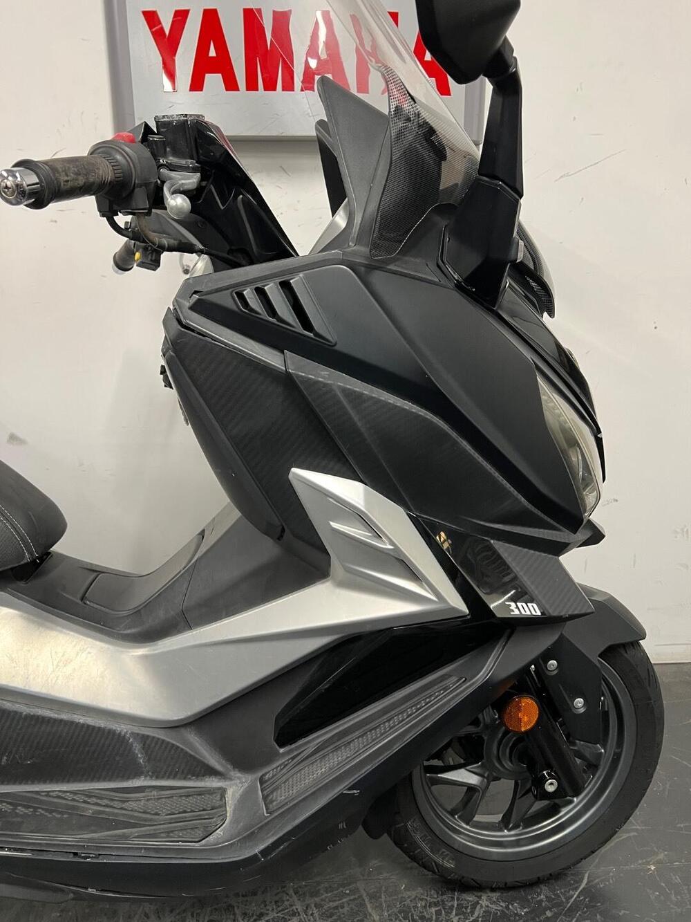 Sym Cruisym 300 (2017 - 20) (6)