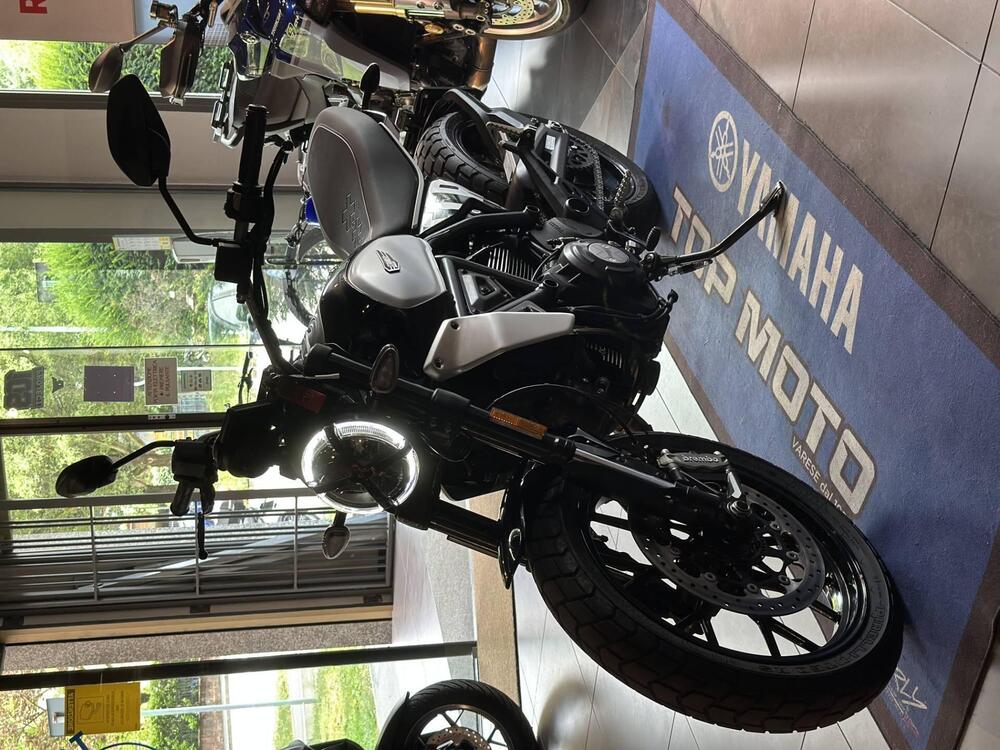 Ducati Scrambler 800 Icon (2023 - 24) (4)