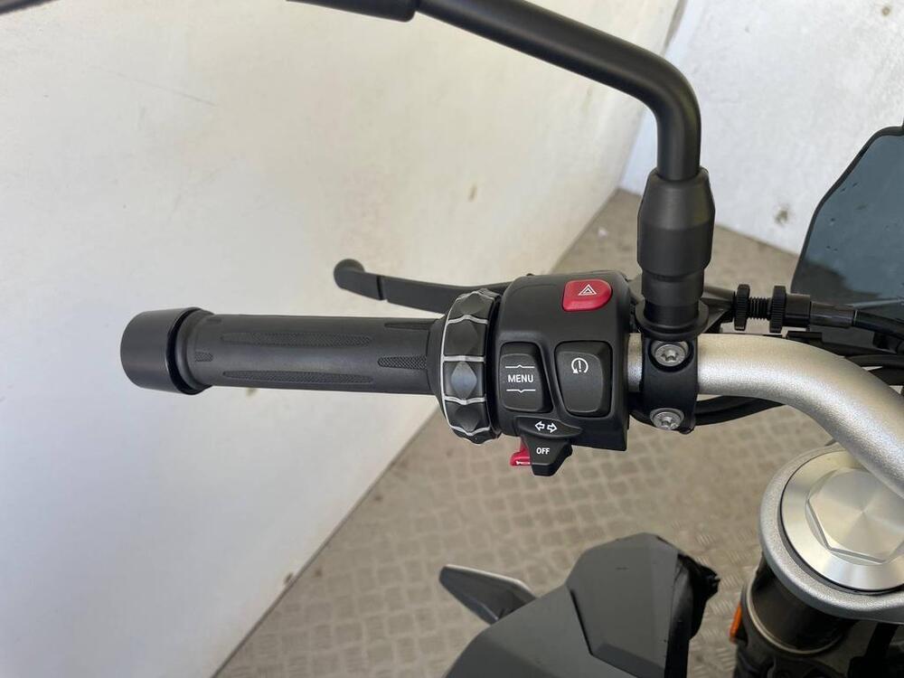 Bmw F 900 R (2017 - 20) (7)