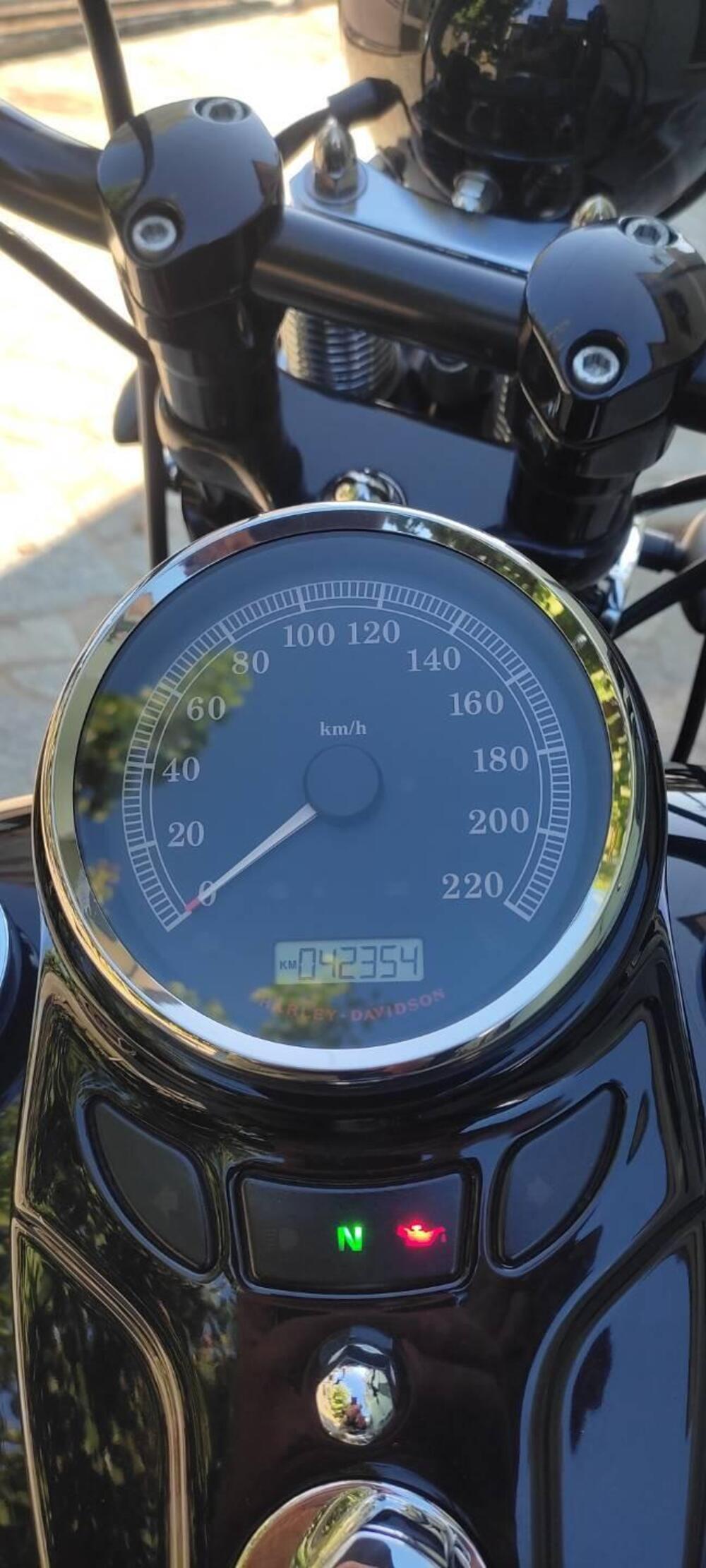 Harley-Davidson 1584 Cross Bones (2008 - 11) - FLSTSB (7)