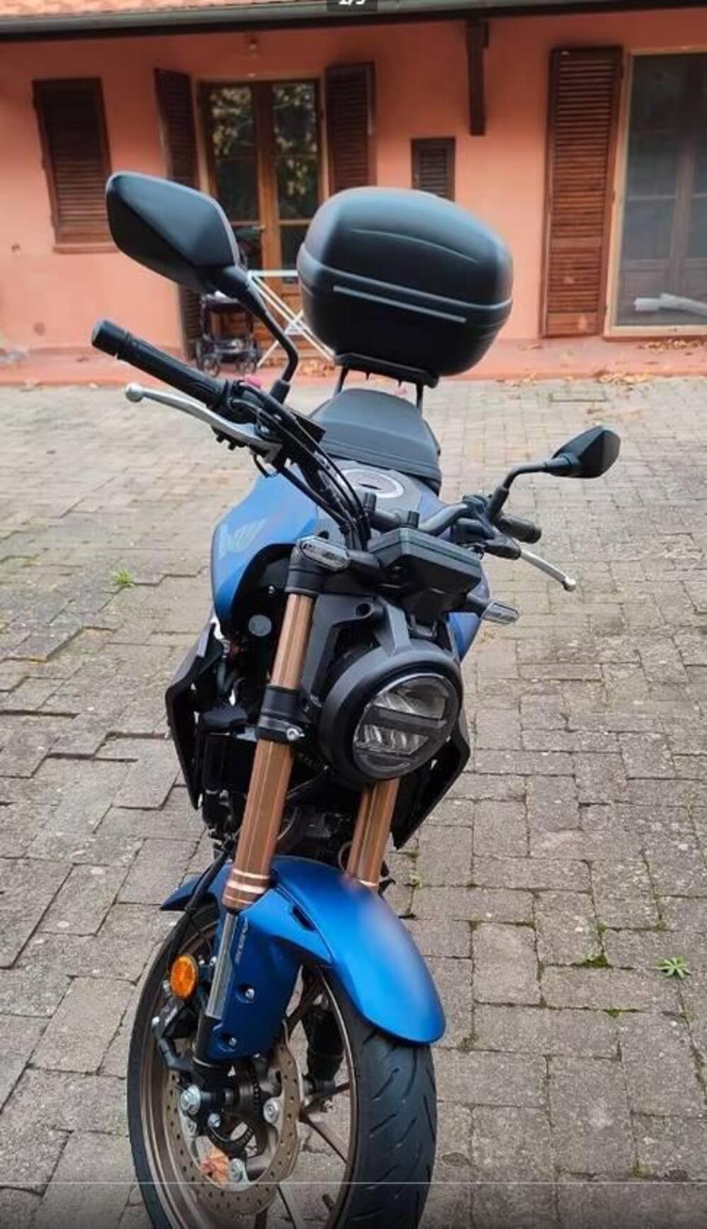 Honda CB 300 R (2022 - 26)