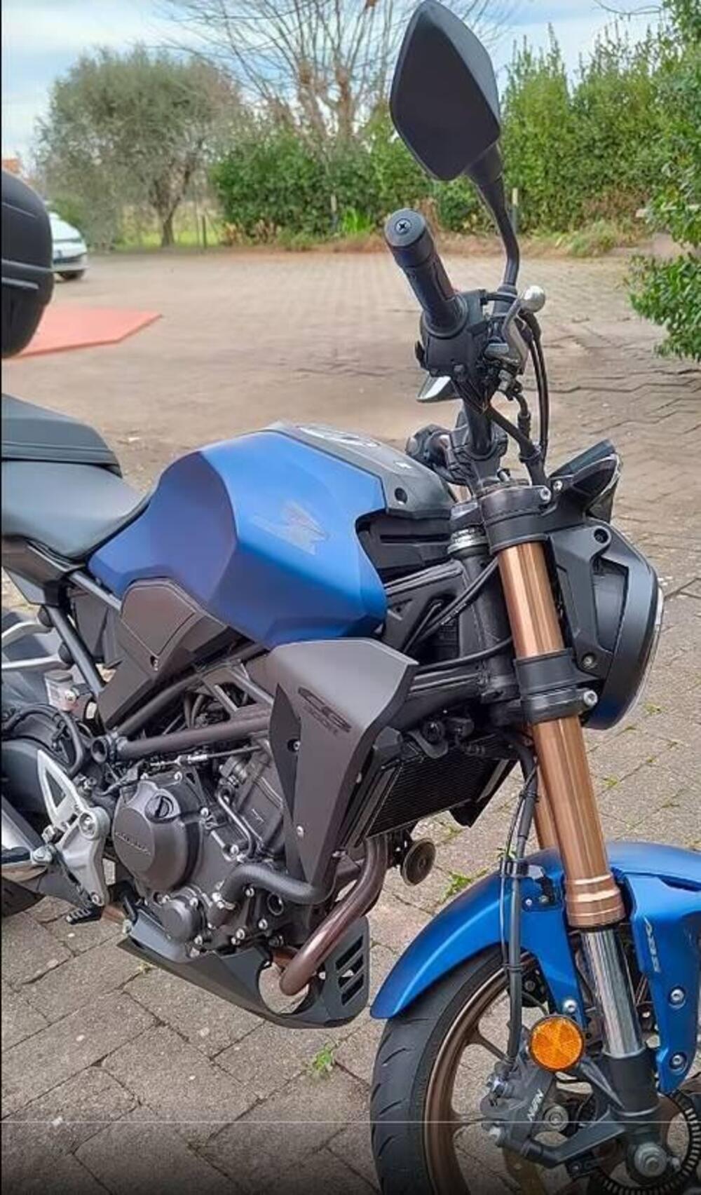 Honda CB 300 R (2022 - 26) (2)