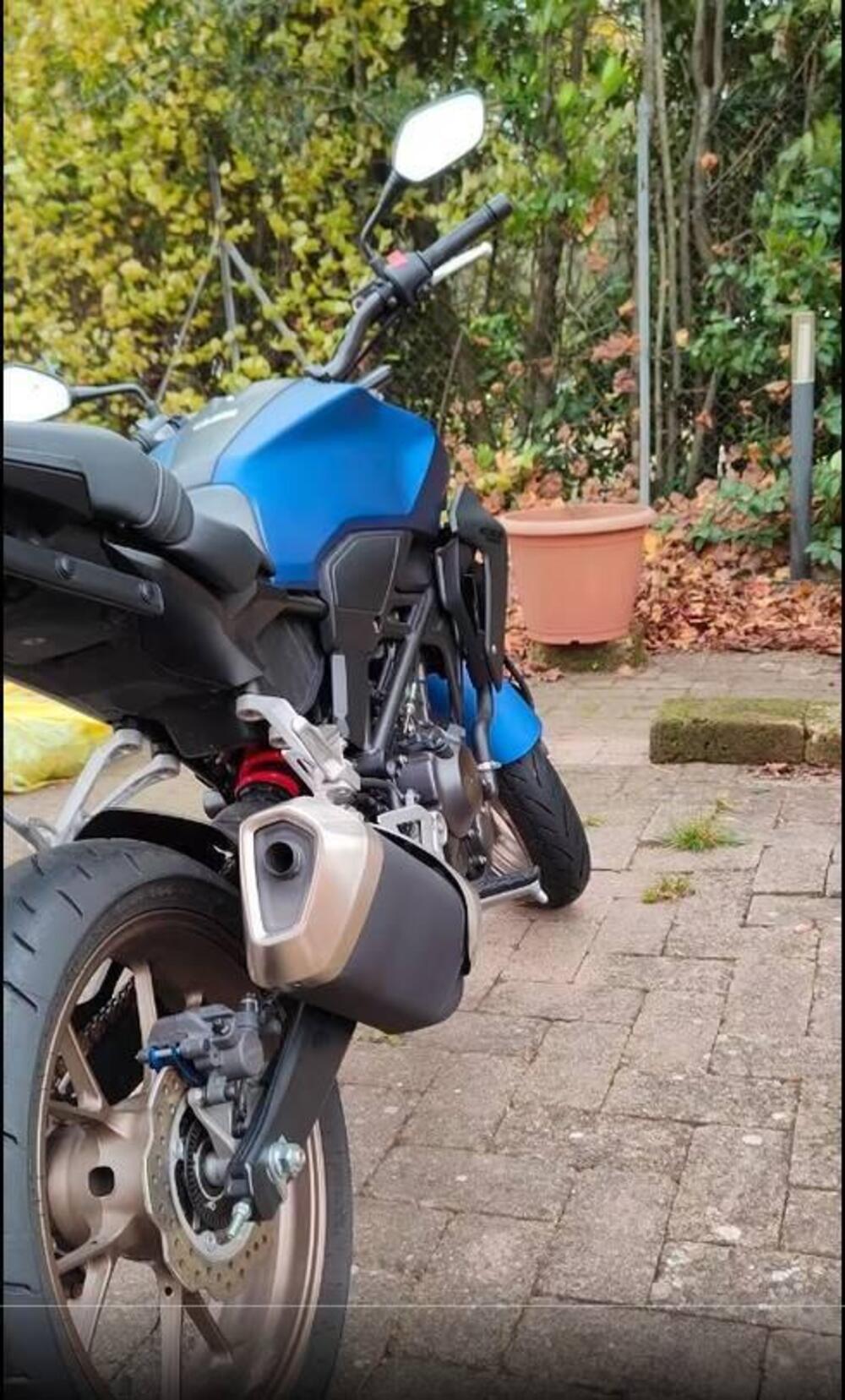 Honda CB 300 R (2022 - 26) (3)