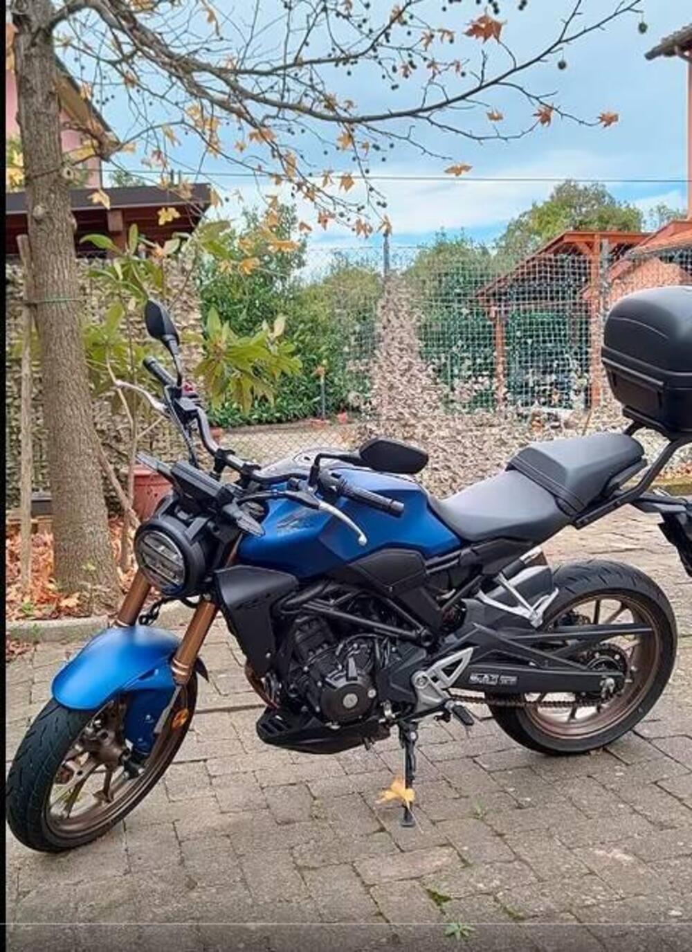 Honda CB 300 R (2022 - 26) (4)