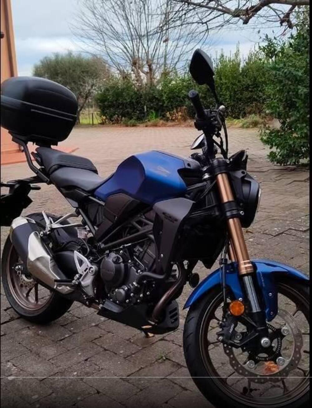 Honda CB 300 R (2022 - 26) (5)