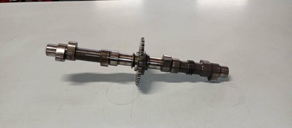 ALBERO A CAMMES BENELLI 500