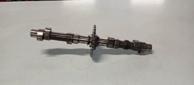 ALBERO A CAMMES BENELLI 500