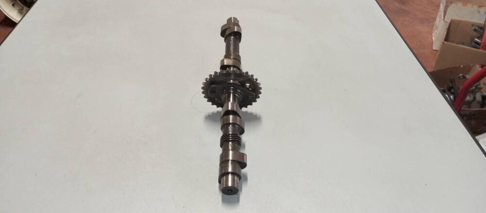 ALBERO A CAMMES BENELLI 500 (2)