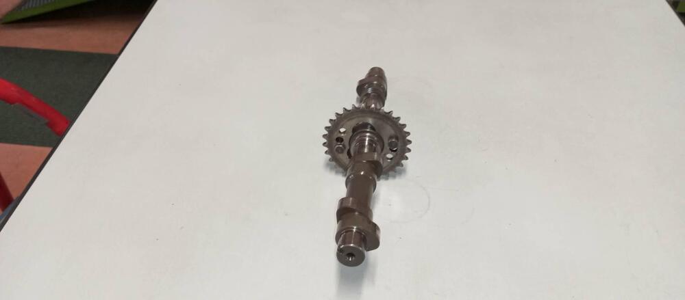 ALBERO A CAMMES BENELLI 500 (4)