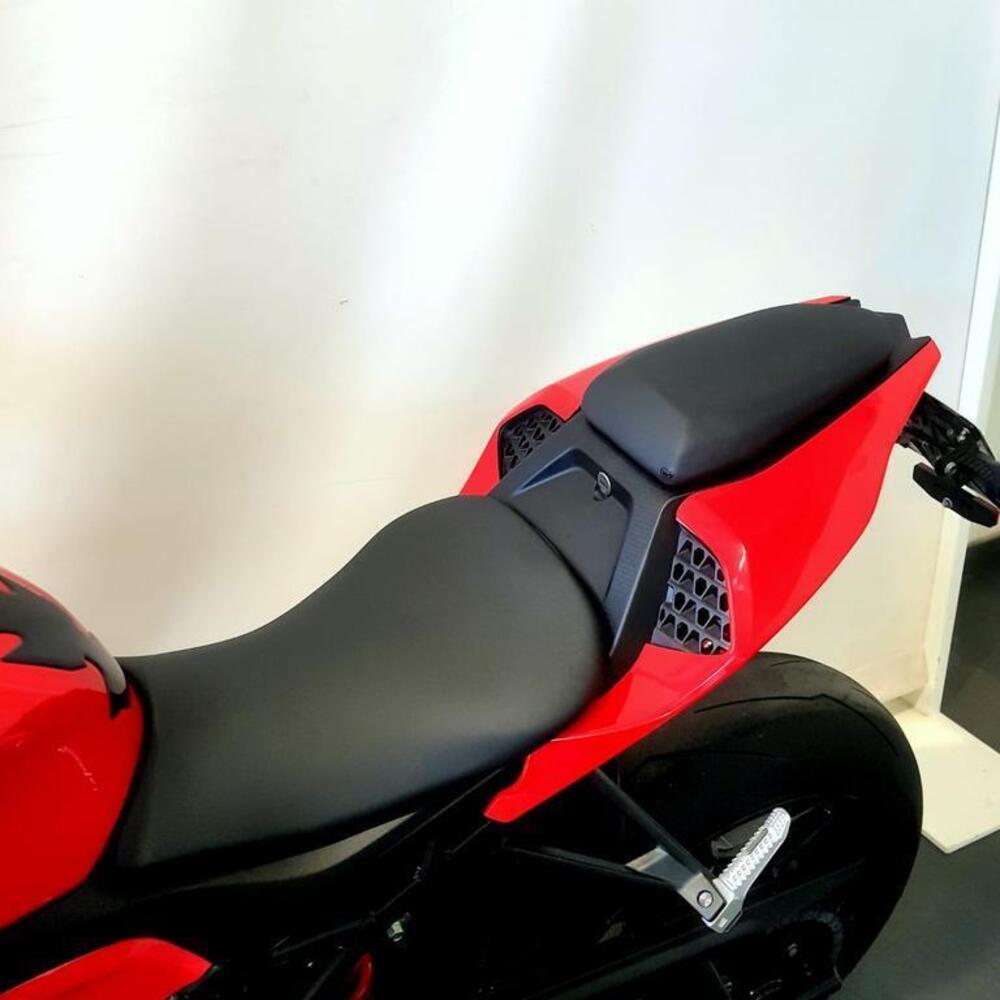 Bmw S 1000 RR (2019 - 20) (12)