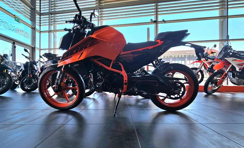 KTM 390 Duke (2024 - 25) (3)