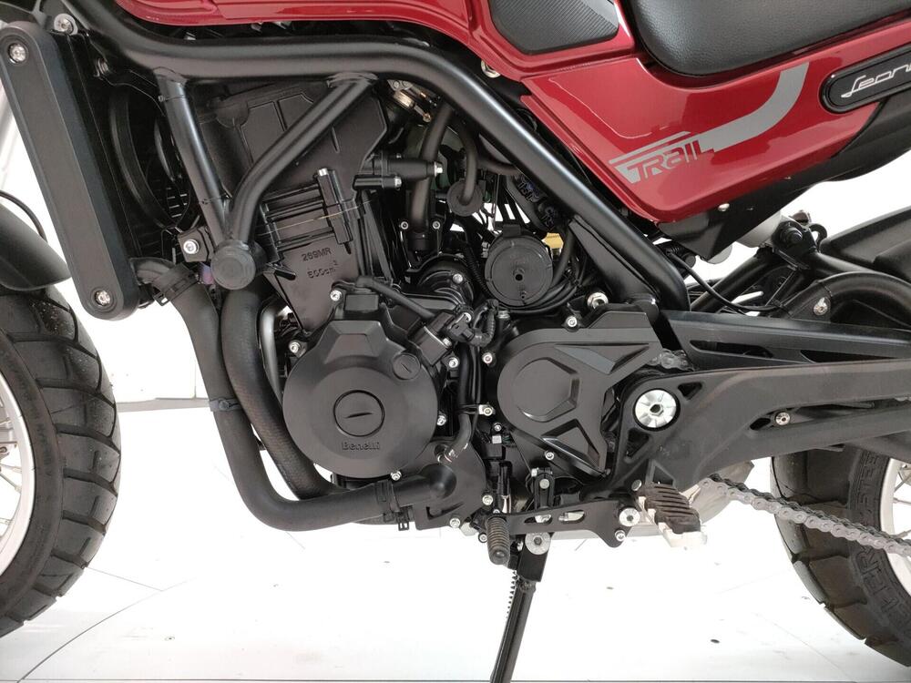 Benelli Leoncino 500 Trail (2021 - 26) (9)