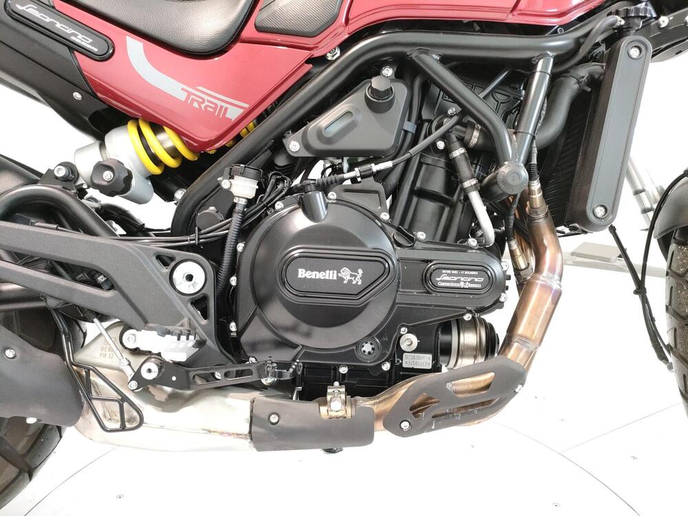 Benelli Leoncino 500 Trail (2021 - 26) (14)