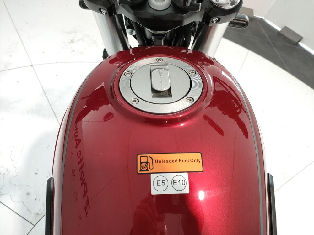 Benelli Leoncino 500 Trail (2021 - 26) (18)