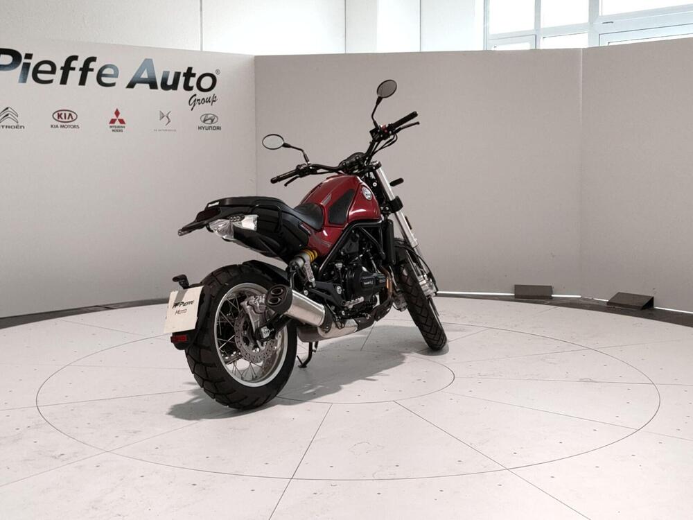 Benelli Leoncino 500 Trail (2021 - 26) (4)