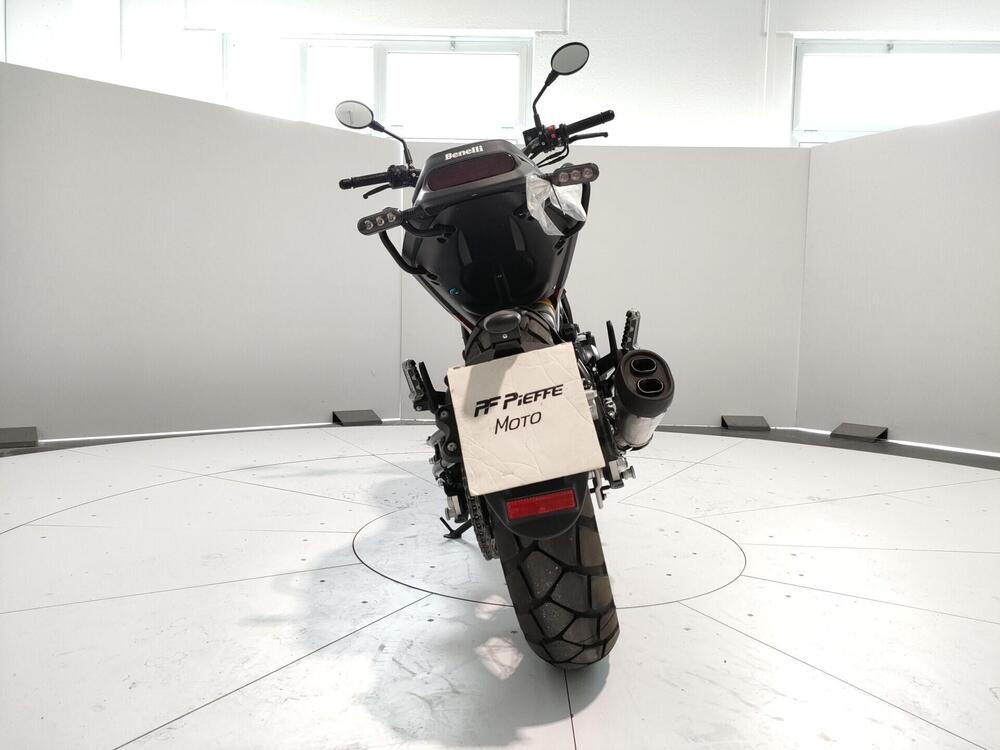 Benelli Leoncino 500 Trail (2021 - 26) (11)